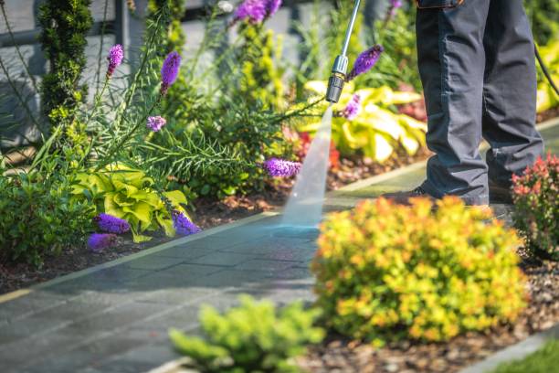 Best Patio and Deck Pressure Washing  in Rochester, NY