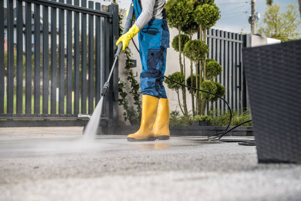 Best Gutter Cleaning  in Rochester, NY